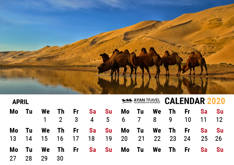 trip to mongolia